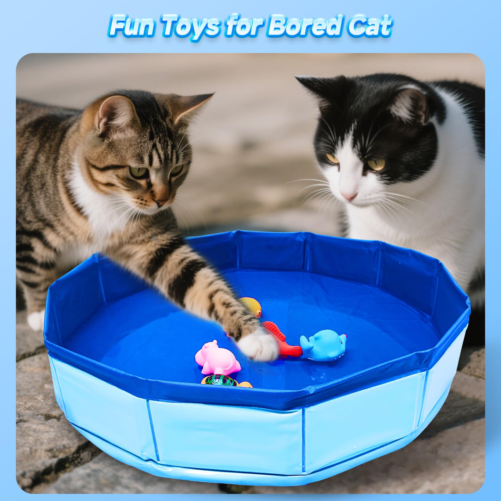 Eelexa durable ABS and silicone materials stand up to enthusiastic feline play.