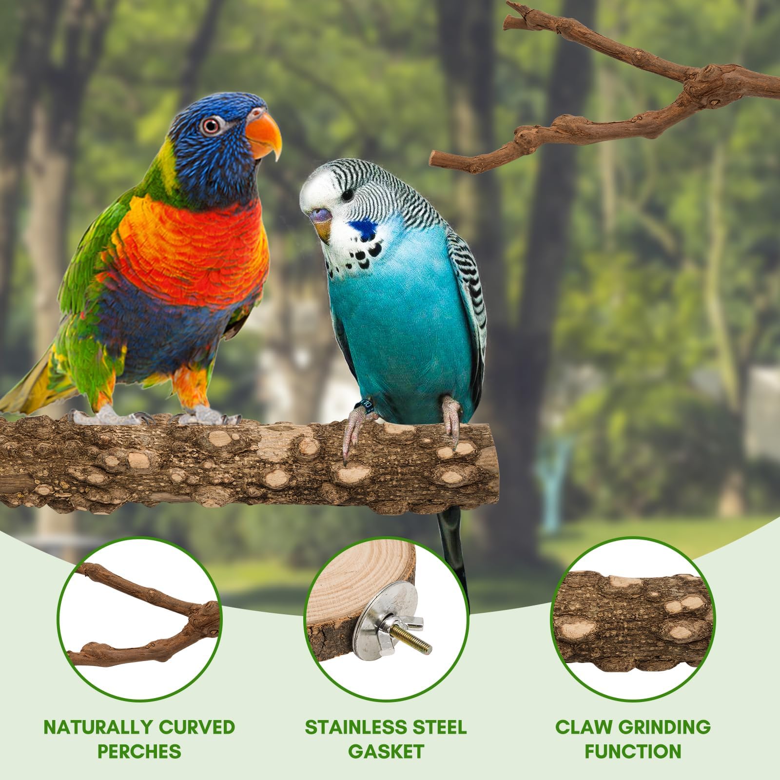 EELLAO non-slip wood perch surface supports secure standing during play.