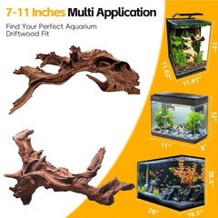 Effieler driftwood perch for terrariums, provides climbing and perching opportunities