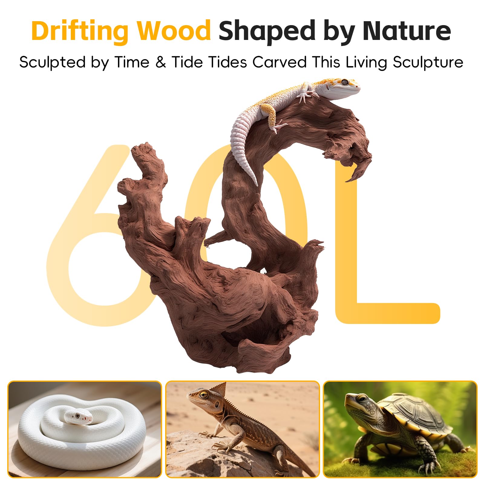 Effieler driftwood centerpiece enhances aquariums with gnarly natural shapes