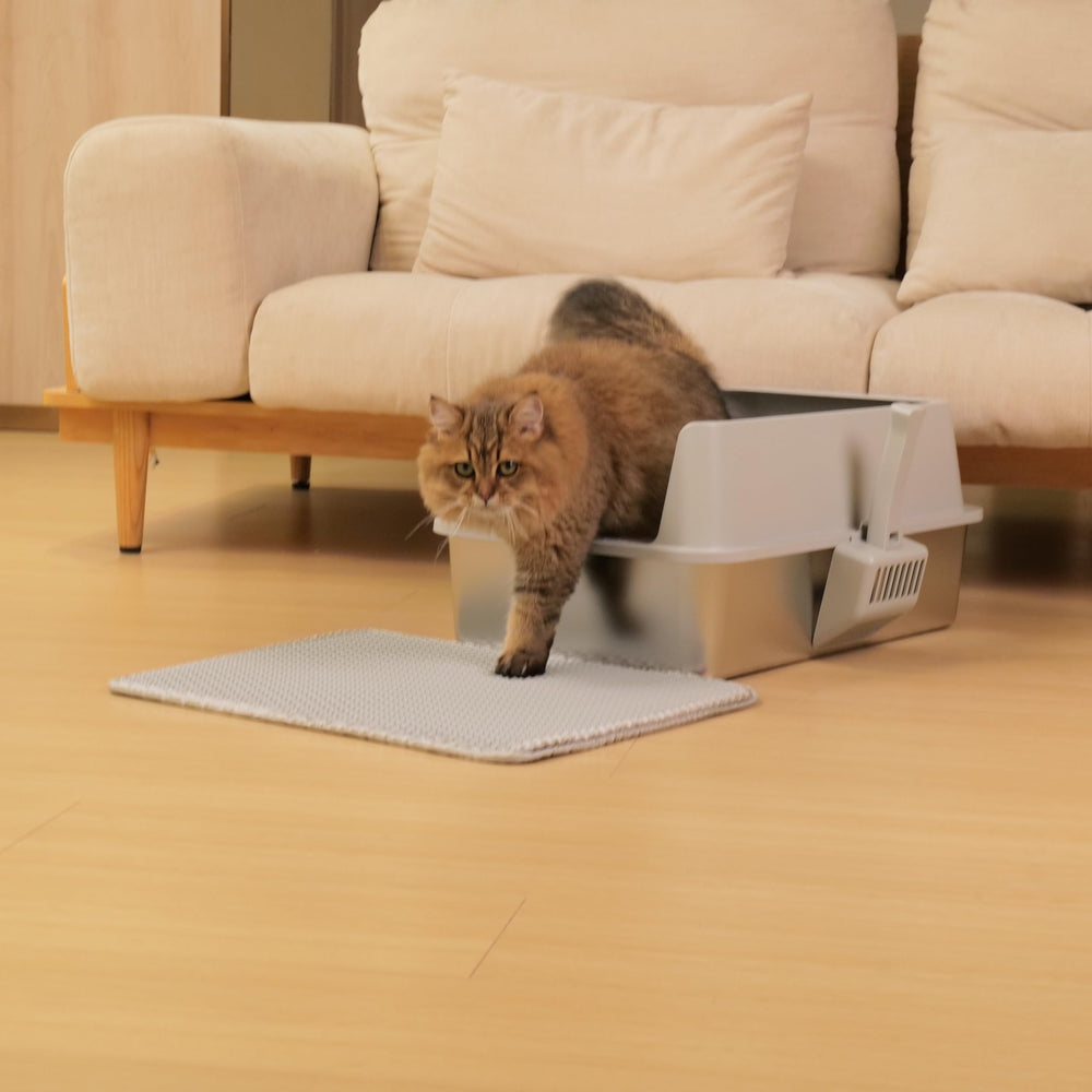 EGMEHOAD XL litter box offers ample space for big cats