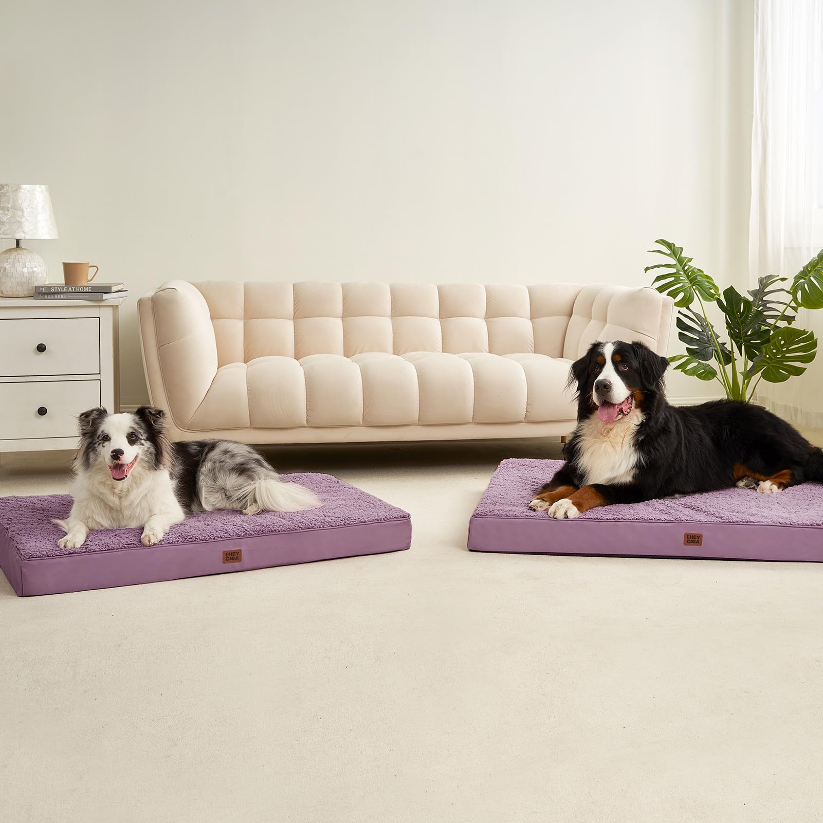 EHEYCIGA fits in kennels, crates, or on the floor