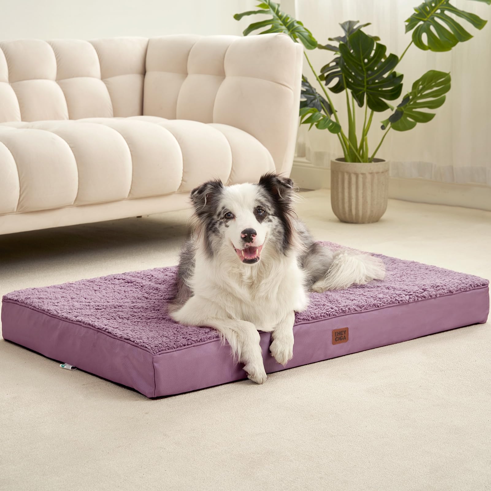 EHEYCIGA 41x27 size fits extra large dogs