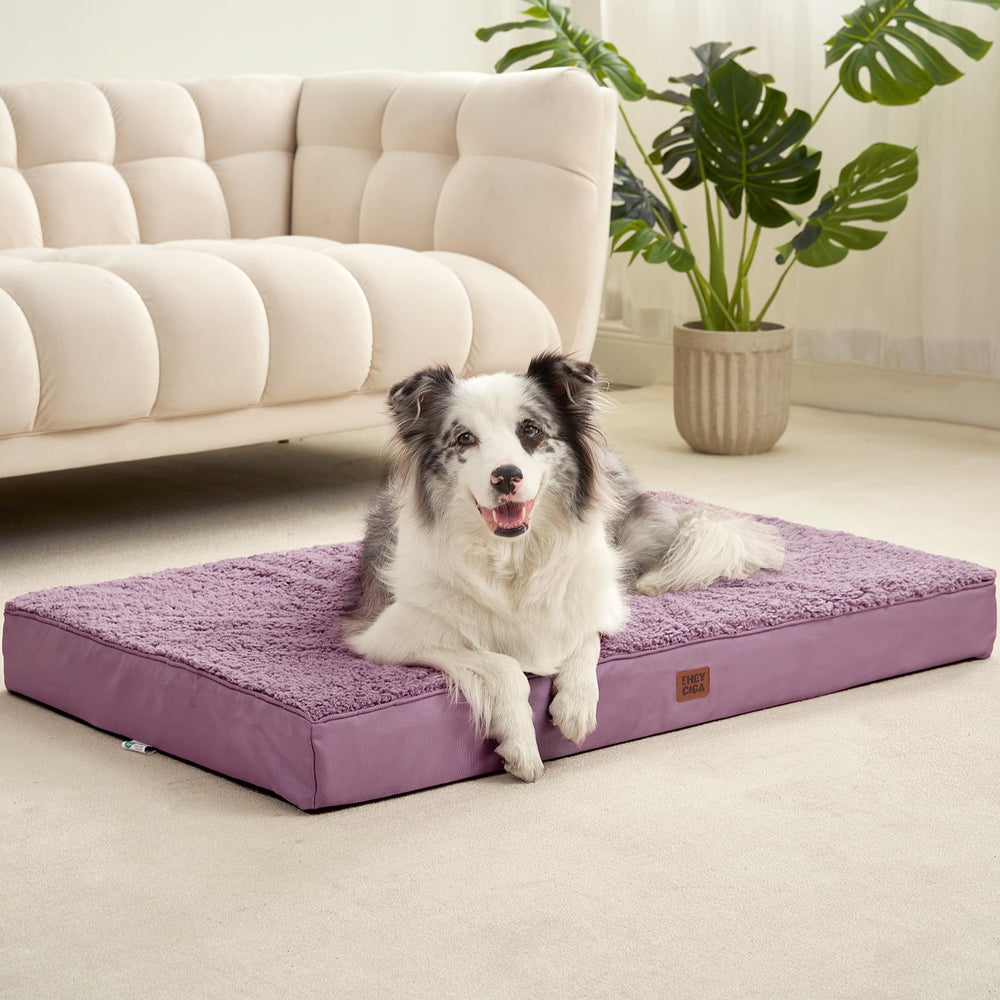 EHEYCIGA 41x27 size fits extra large dogs
