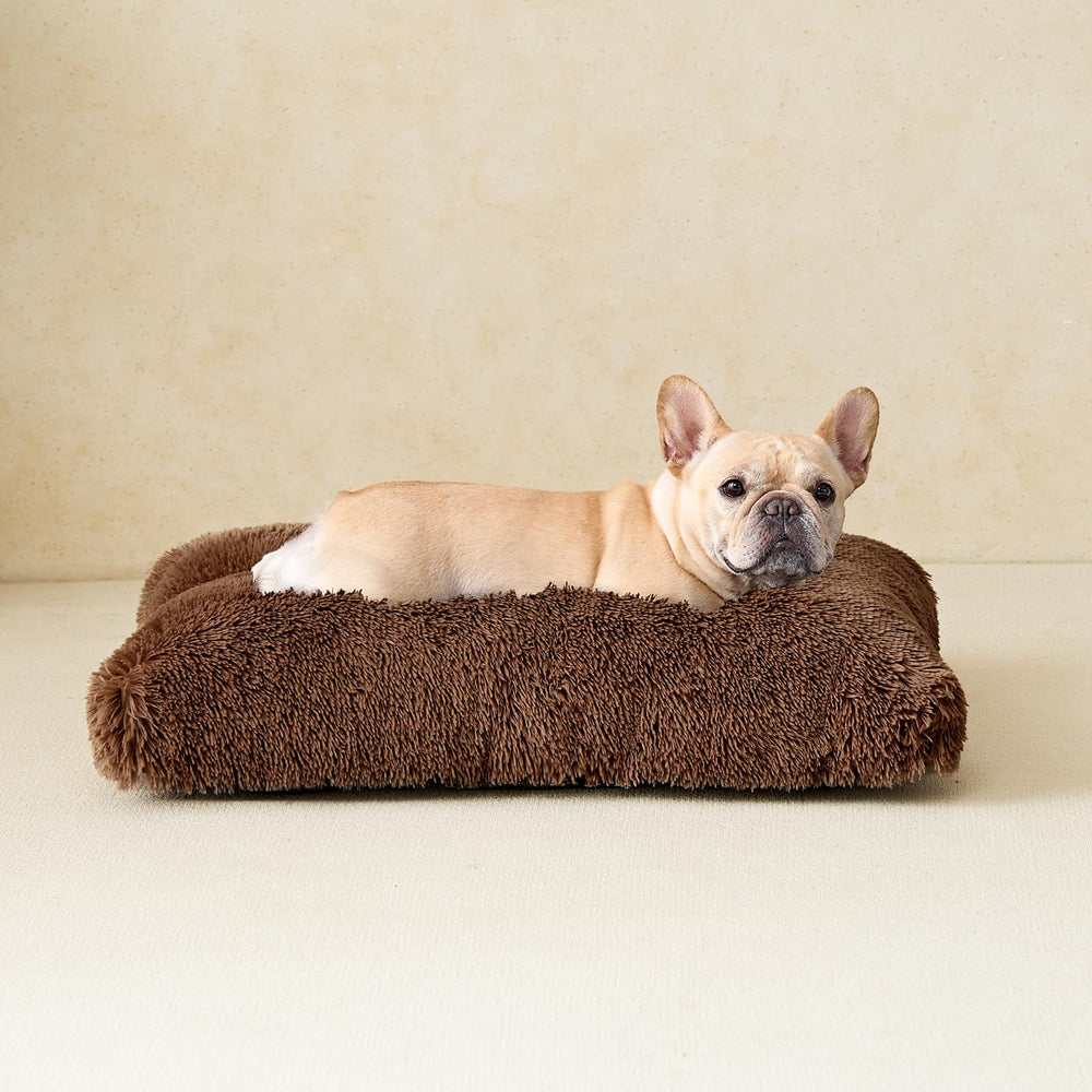 EHEYCIGA large size provides generous space for medium dogs to stretch.