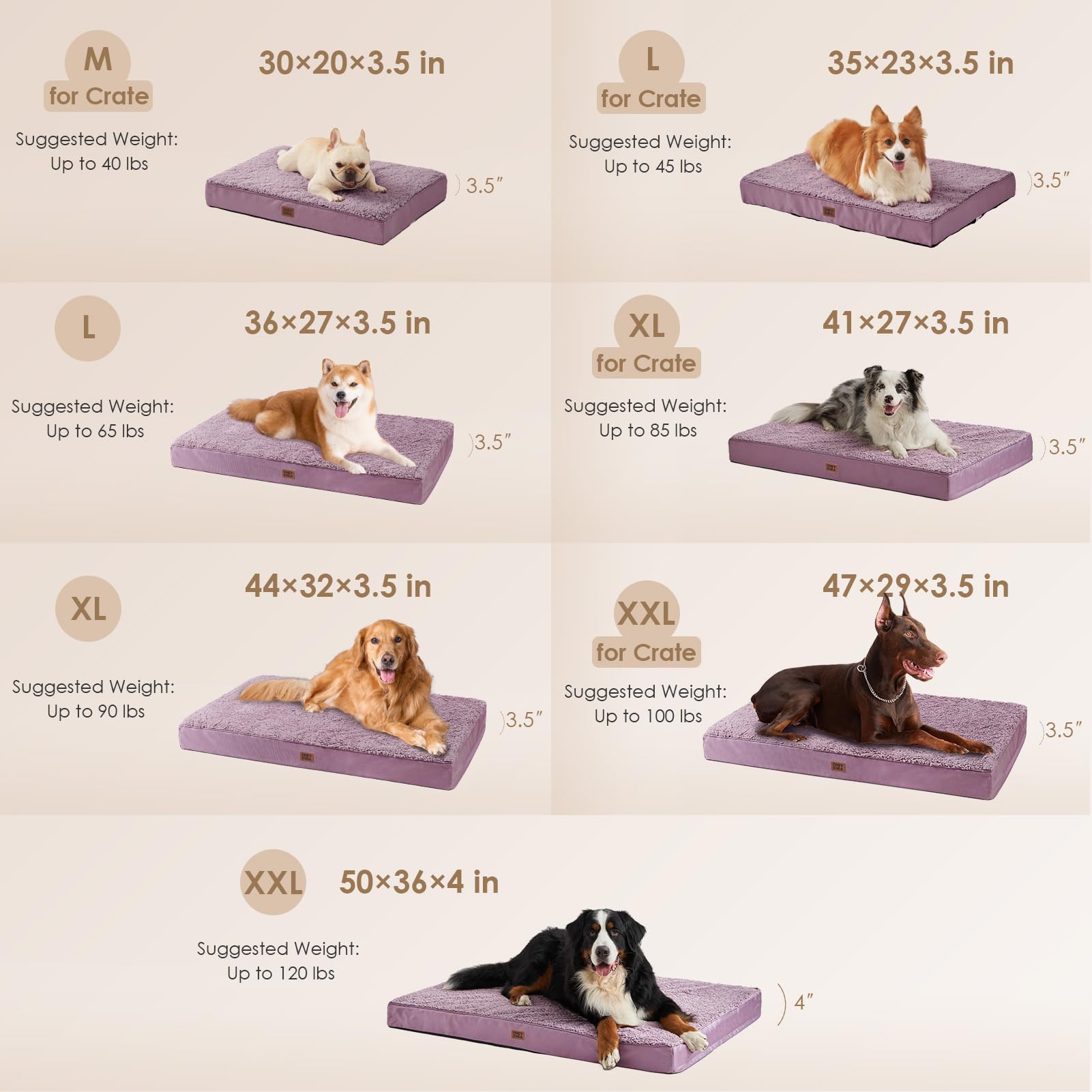 EHEYCIGA egg-crate foam 4in provides supportive comfort
