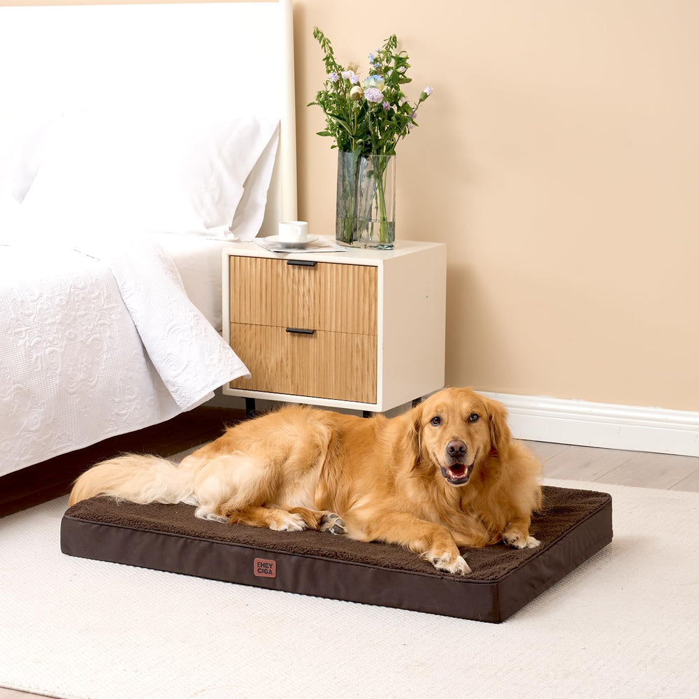 EHEYCIGA floor placement ready design fits directly on the floor for versatility.