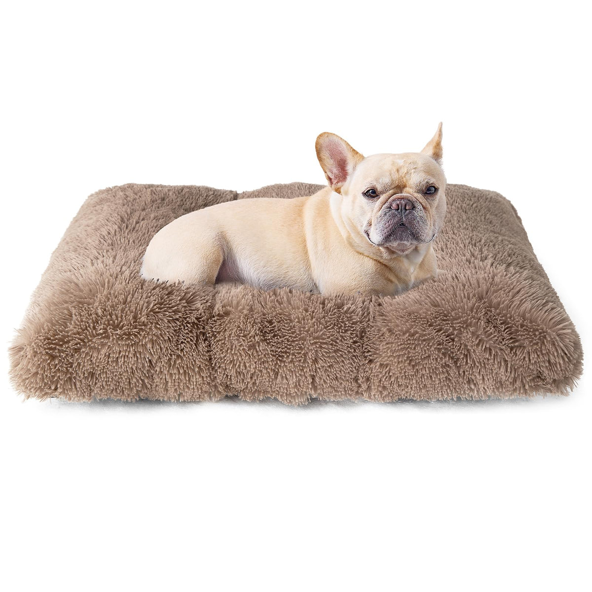 EHEYCIGA fluffy dog crate bed close-up fabric showing ultra-soft plush surface for cozy naps