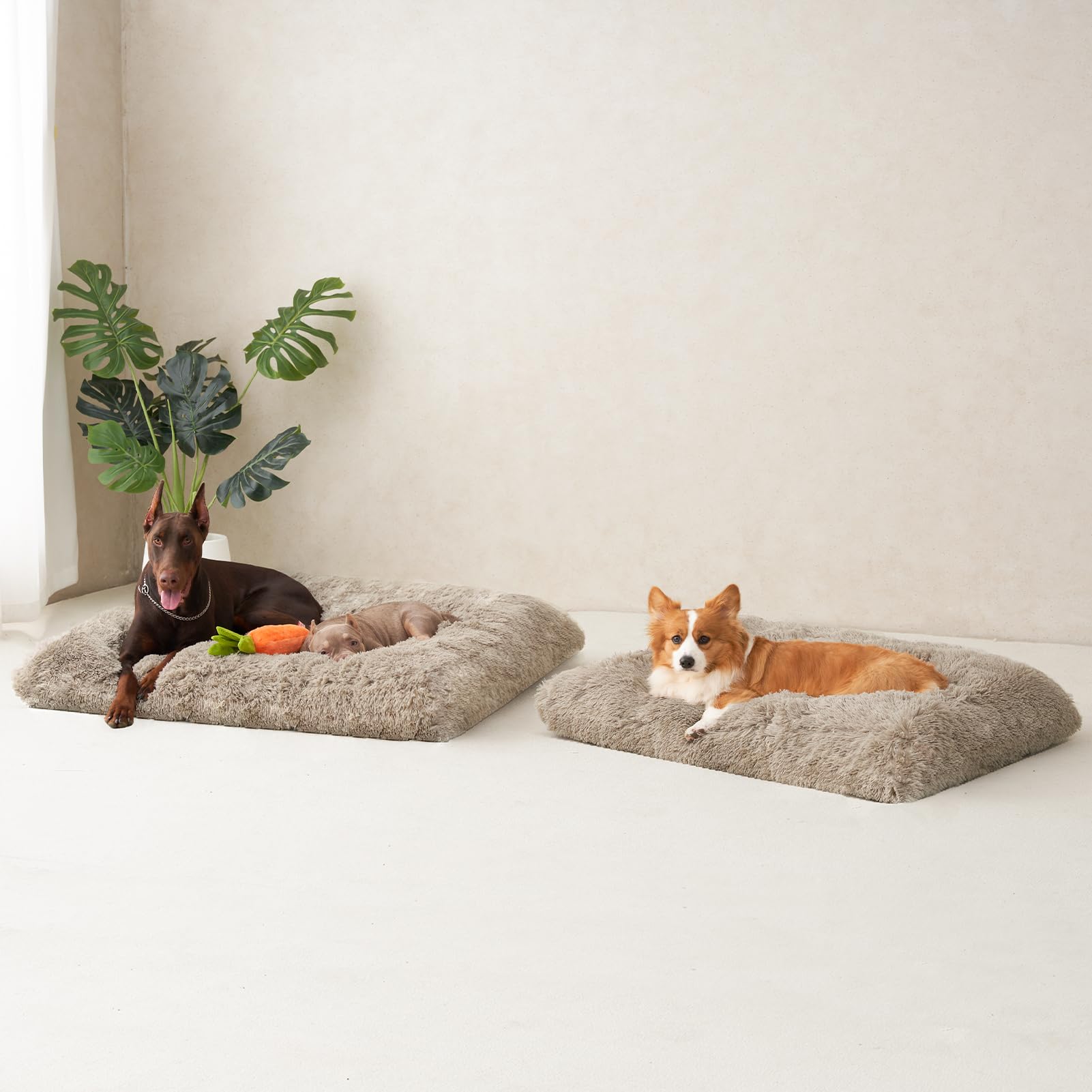 EHEYCIGA taupe color blends with home decor in crates.