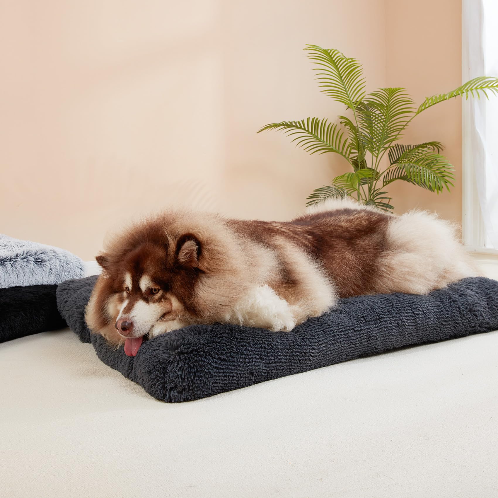 EHEYCIGA fluffy XXL dog bed breathable filling supports cool, comfy naps.