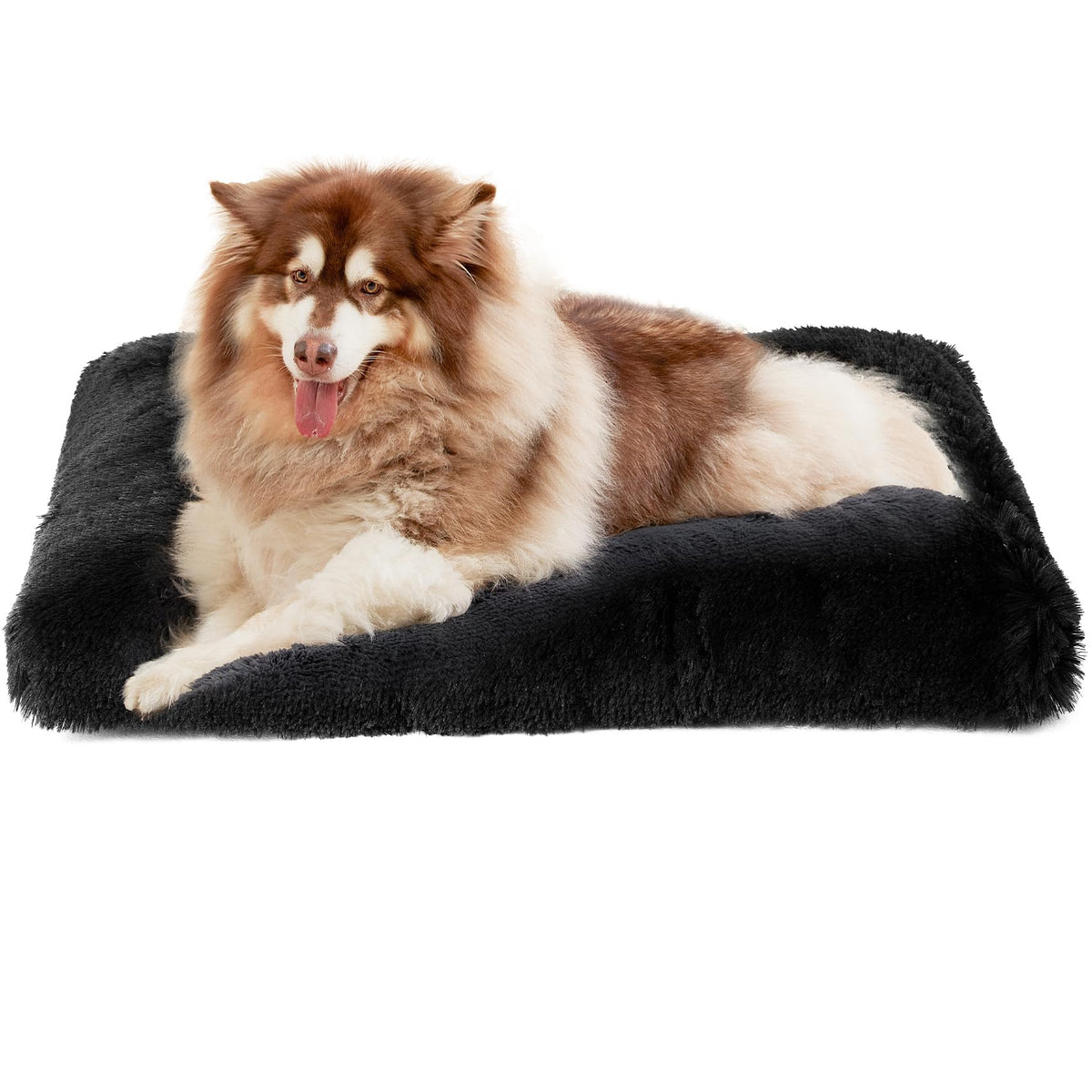 EHEYCIGA Fluffy XXL crate pad closeup for ultra-soft, cozy crate-time comfort.