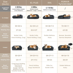 EHEYCIGA bed base with egg crate memory foam for breathable support.