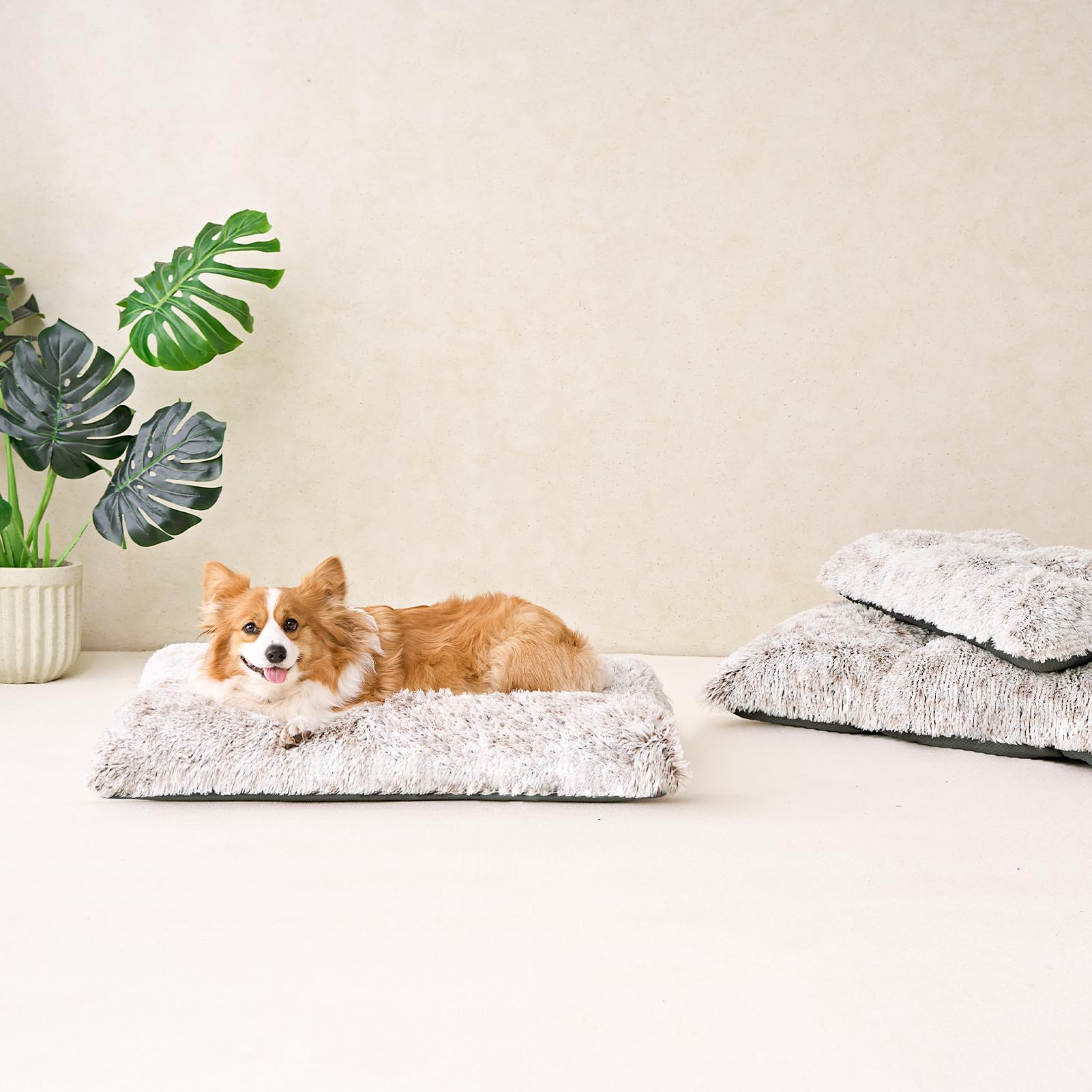 EHEYCIGA ideal for indoor floor use or crate lounging.