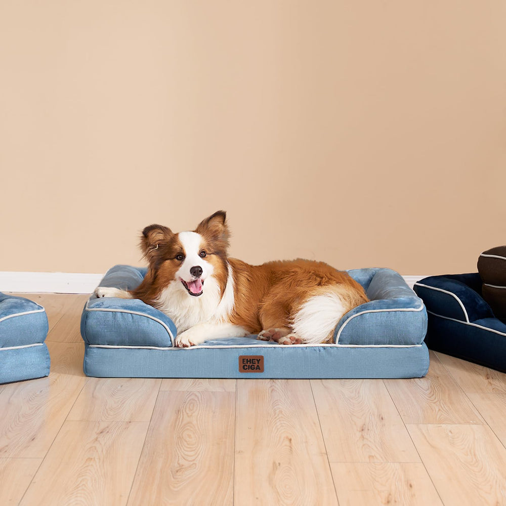EHEYCIGA available in sizes from medium to extra large for large dogs.