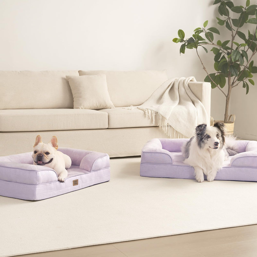 Large size options ensure a comfortable fit for big dogs.