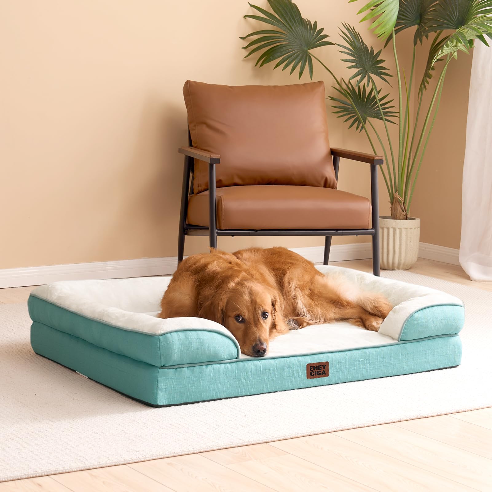 Large XL dog resting on EHEYCIGA bed.