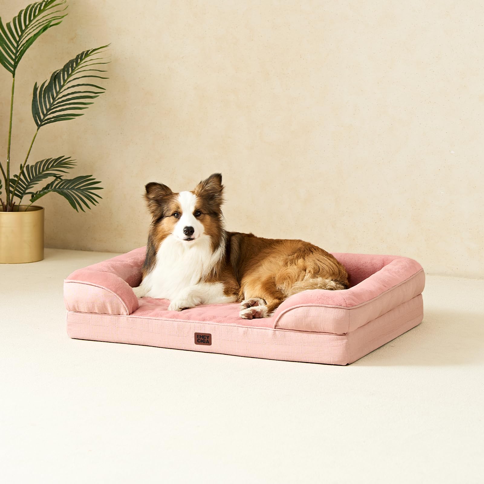 EHEYCIGA available in multiple sizes for small to large dogs