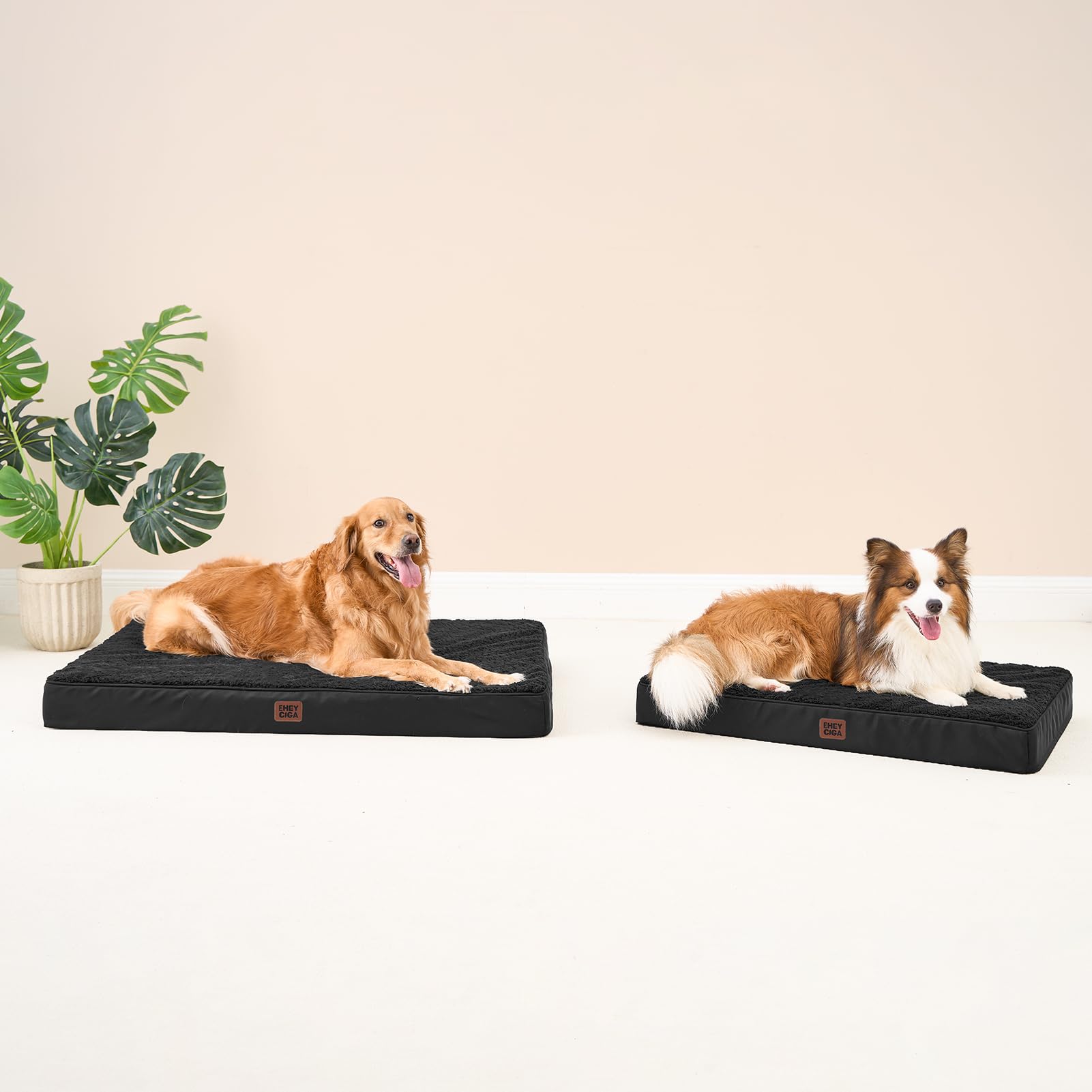 EHEYCIGA bed black 36x27 for large dogs.