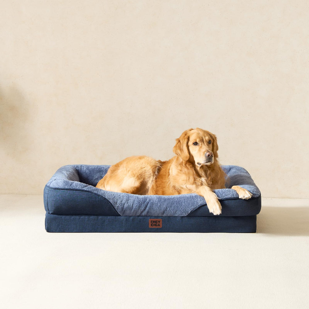 Bedroom or living room setup with large dog using the bed
