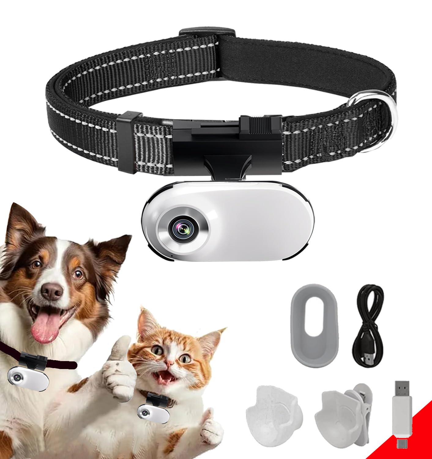 ehomful cat pov camera collar video captures pet perspective for memories