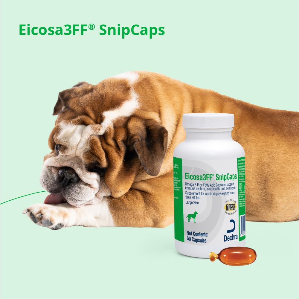 SnipCaps box on shelf signaling convenient omega-3 routine for dogs.