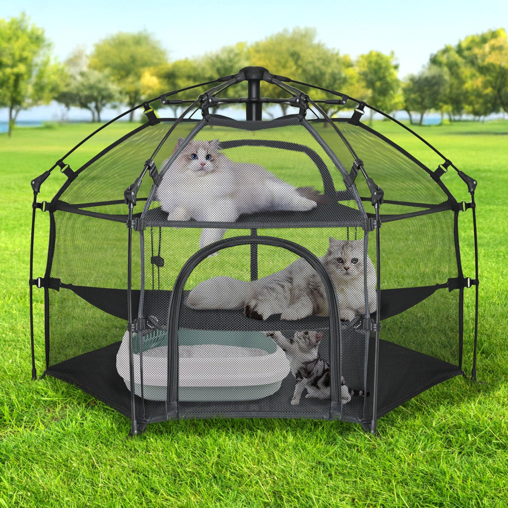 EighteenTek Catio spacious play area supports curious cats during outdoor moments.
