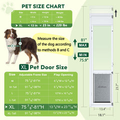 Eillion 3-Flap XL dog door on the right side opens outward for easy backyard access.