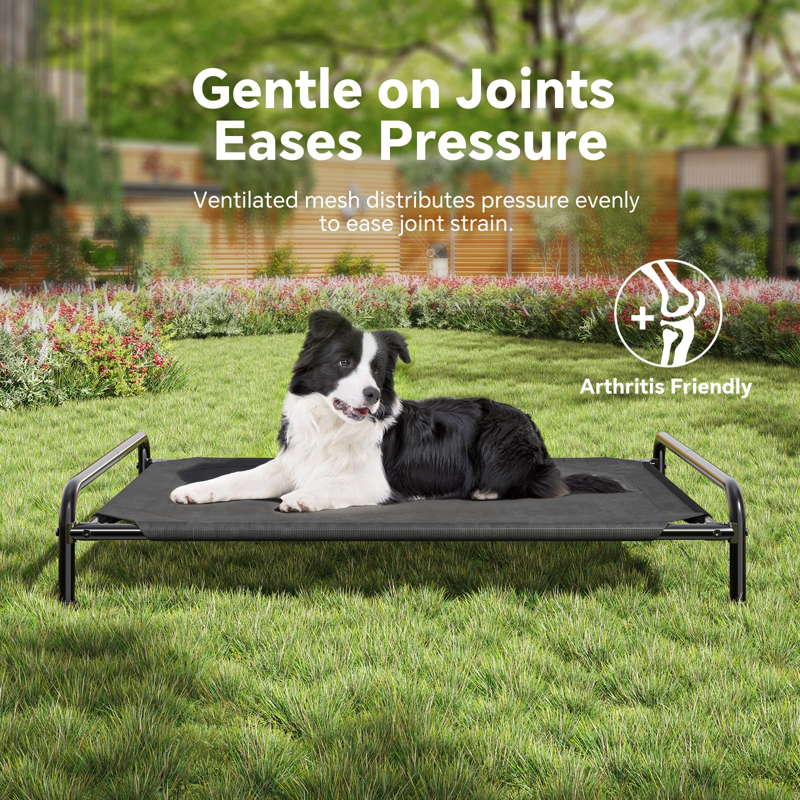 Ekisemio 12mm metal frame reinforces stability for big dogs.