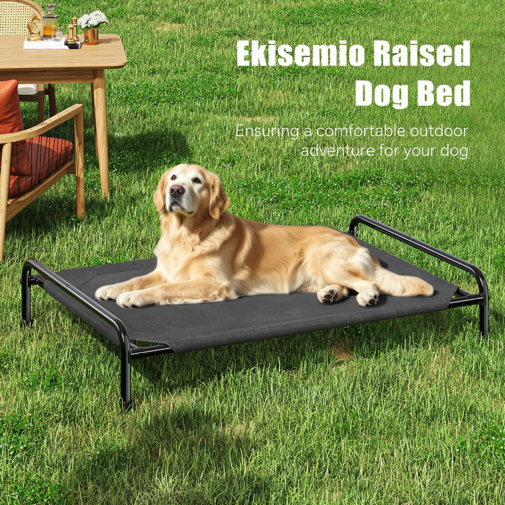 Ekisemio elevated dog bed lets the dog rest comfortably.