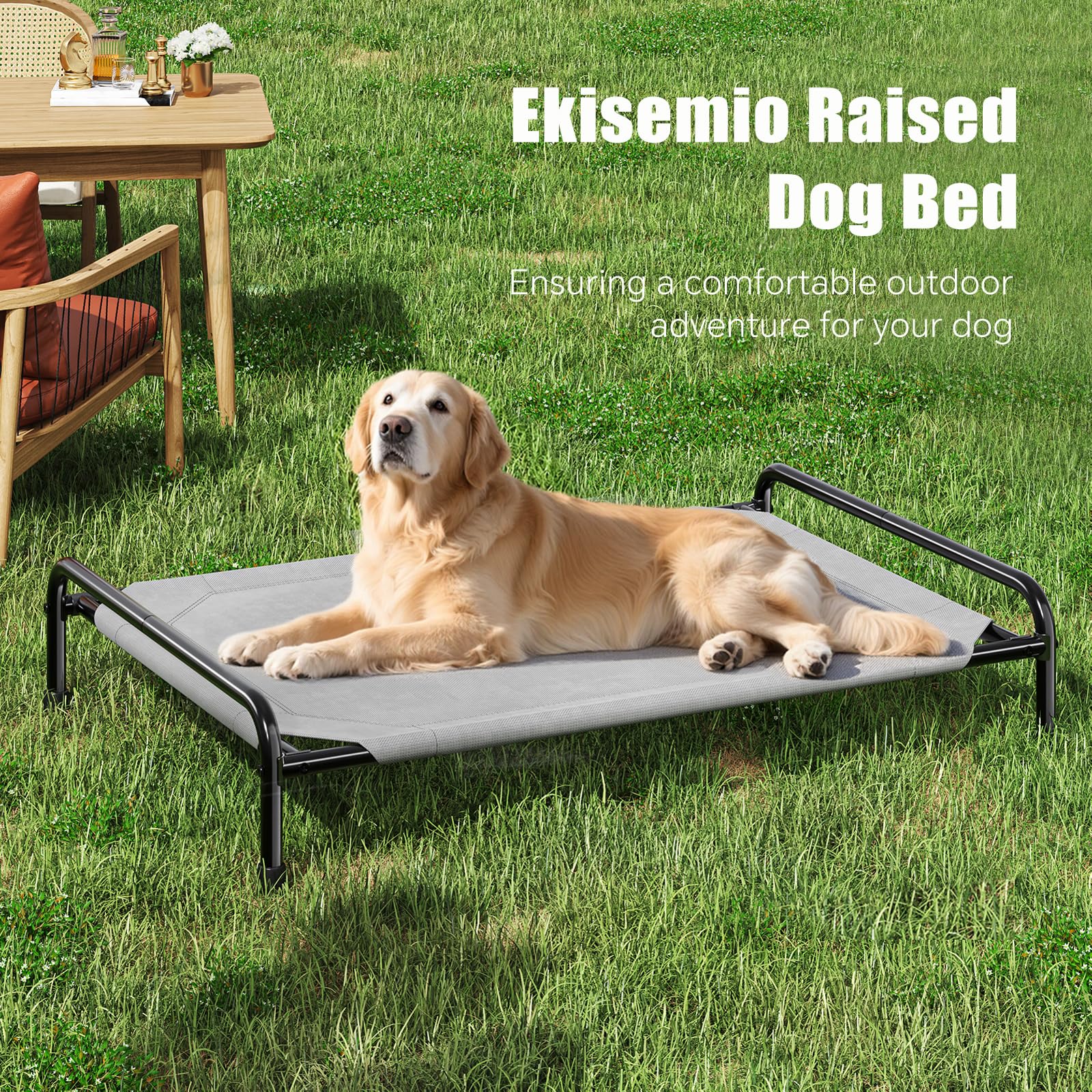 Ekisemio welded frame demonstrates durable support for active dogs.