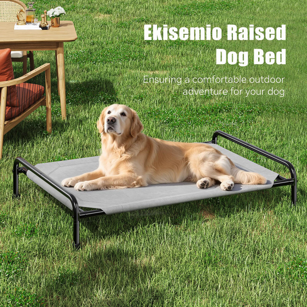 Ekisemio welded frame demonstrates durable support for active dogs.