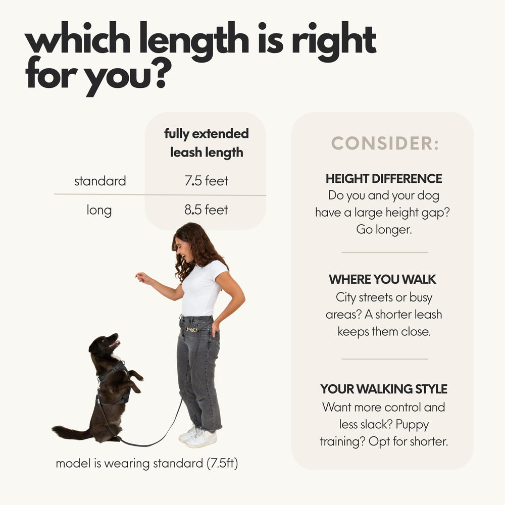 Elby cross-body mode frees hands while guiding your dog on busy streets.