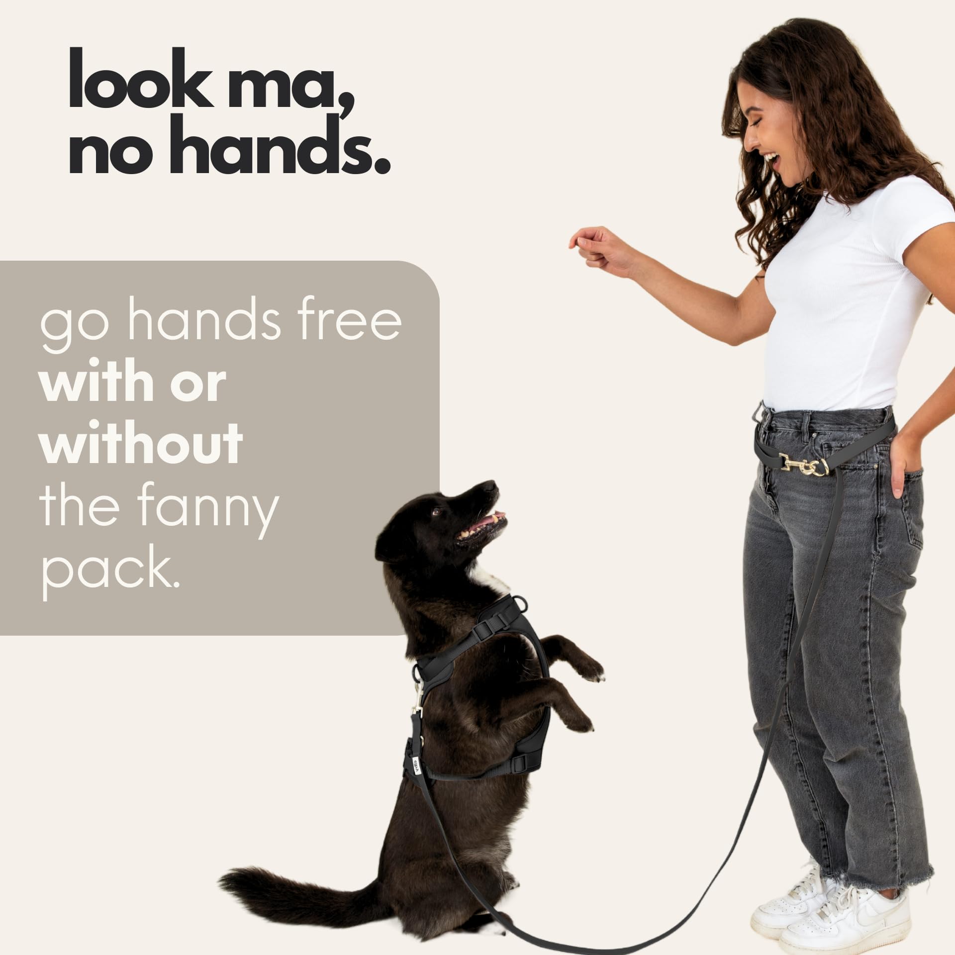 Elby sturdy design supports medium and large dogs during regular outings.