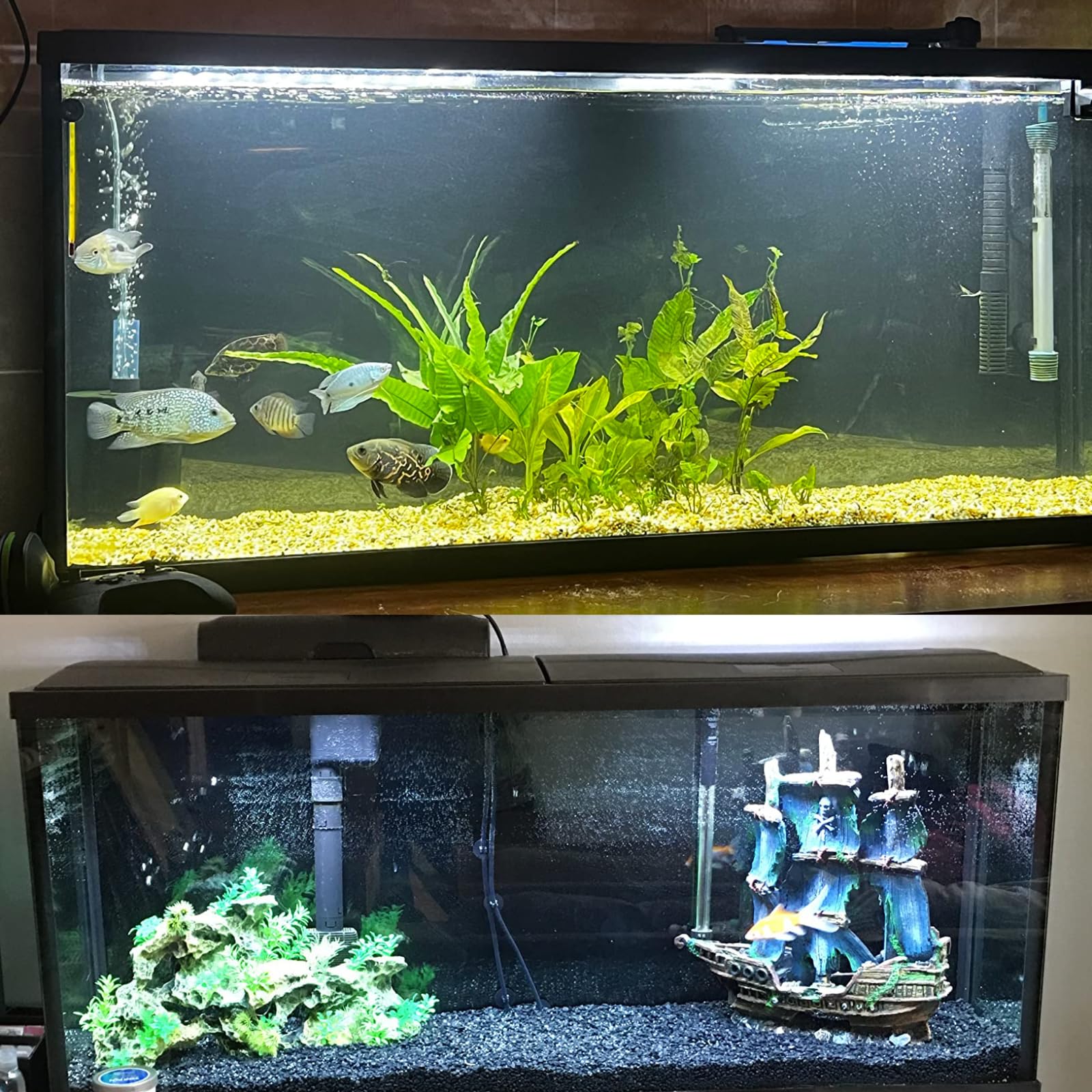 ELEBOX Easy-trim backdrop fits multiple tank sizes with simple measurement.