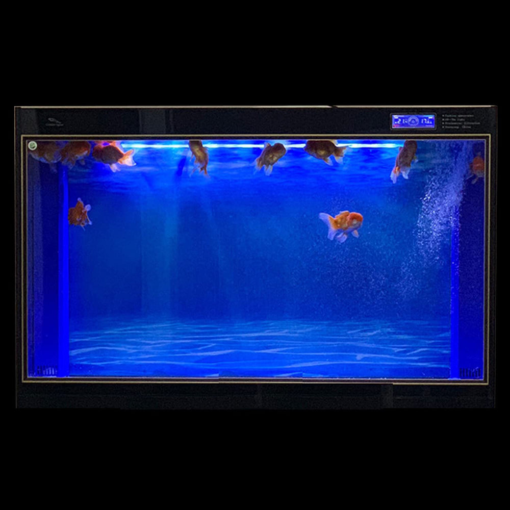 ELEBOX Two-Sided Backdrop with HD colors to highlight fish and coral.