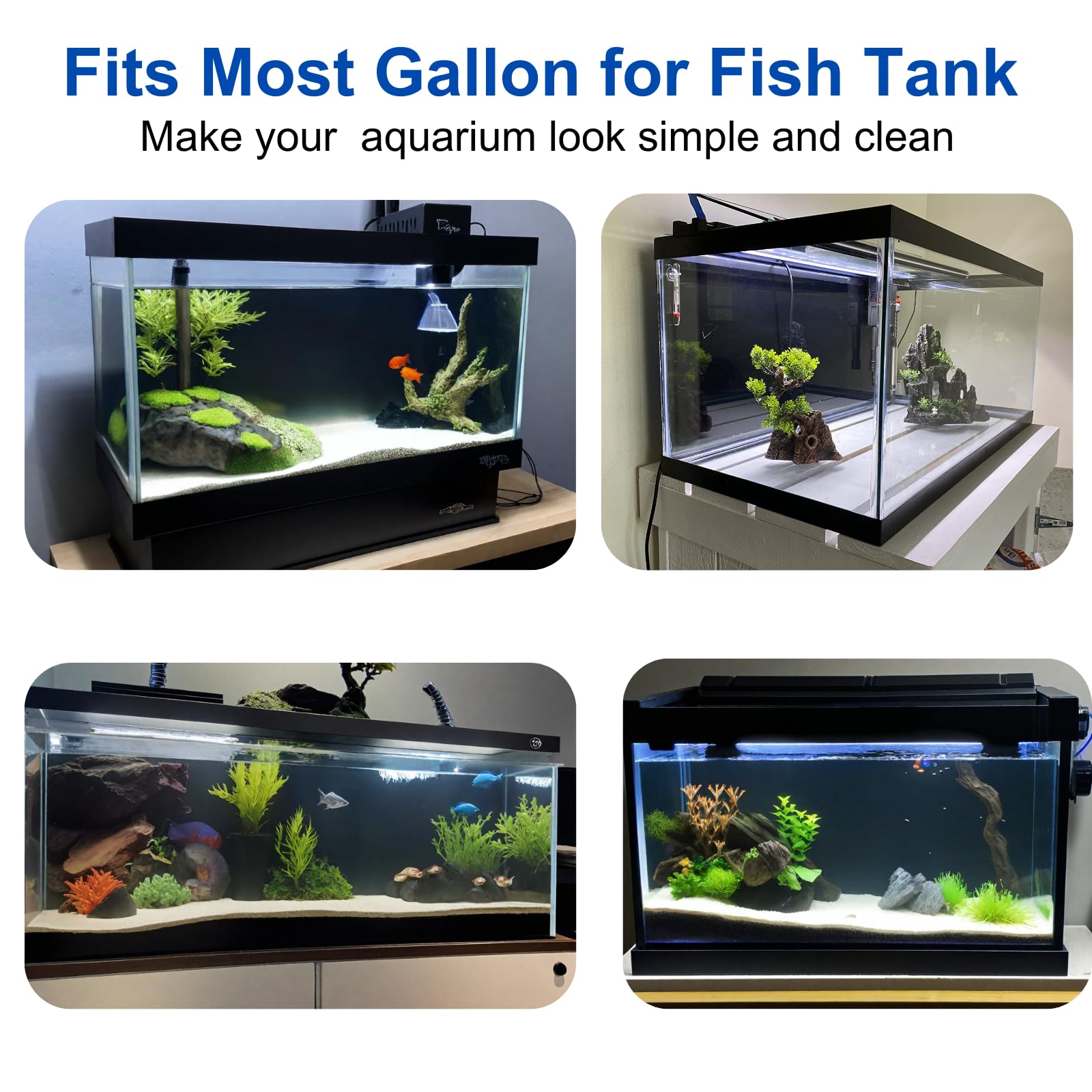 ELEBOX Vivid depth backdrop enhances the sense of underwater scenery.