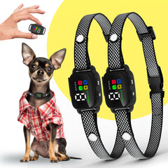 ELECANE 2-pack bark collar for small dogs, promoting calm walks