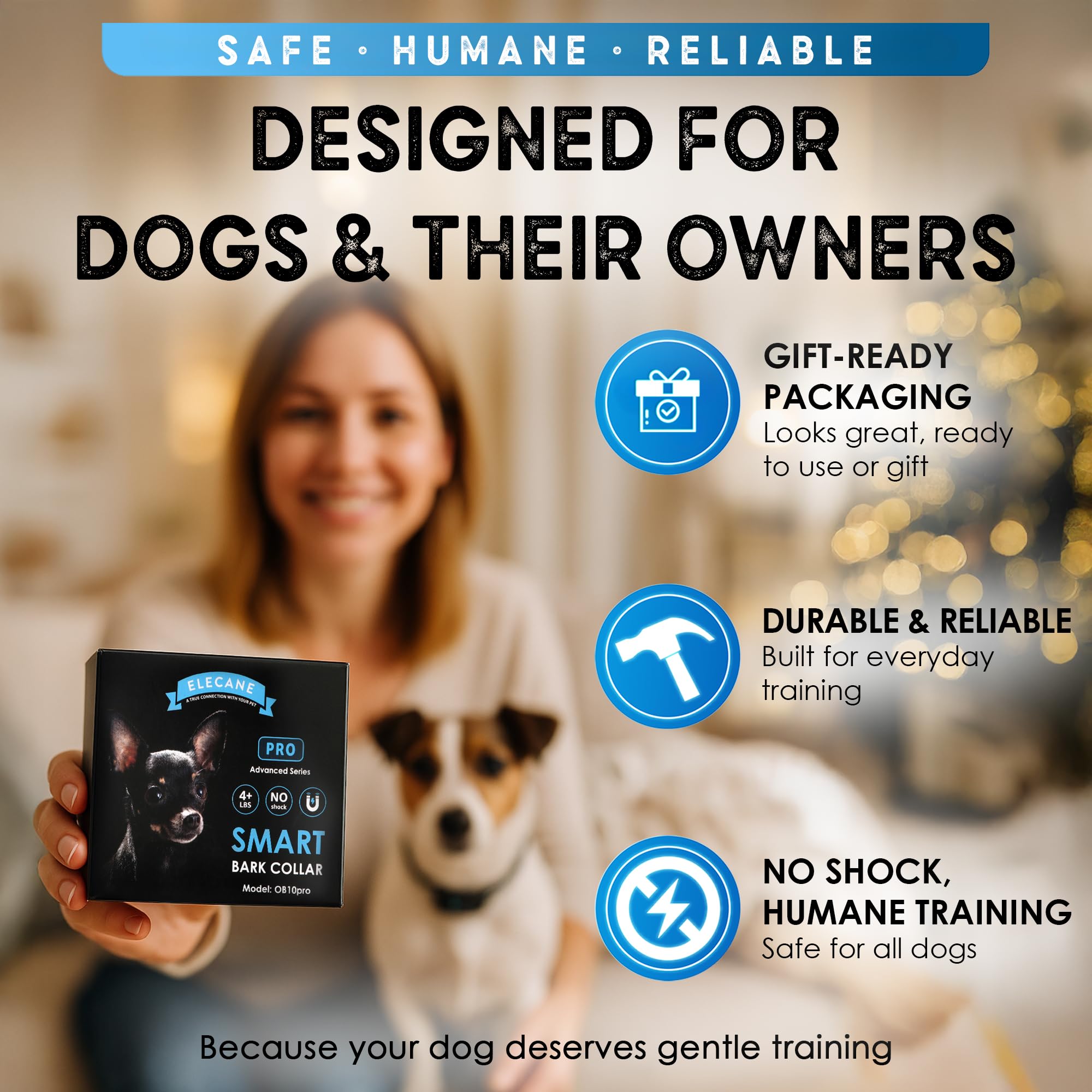 ELECANE bark collar dog park use demonstrates reliable training outdoors