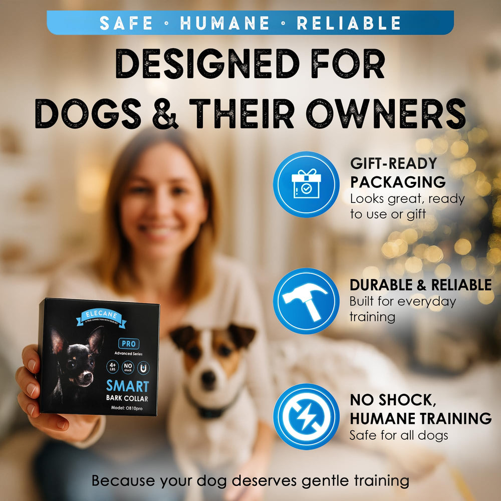 ELECANE bark collar dog park use demonstrates reliable training outdoors