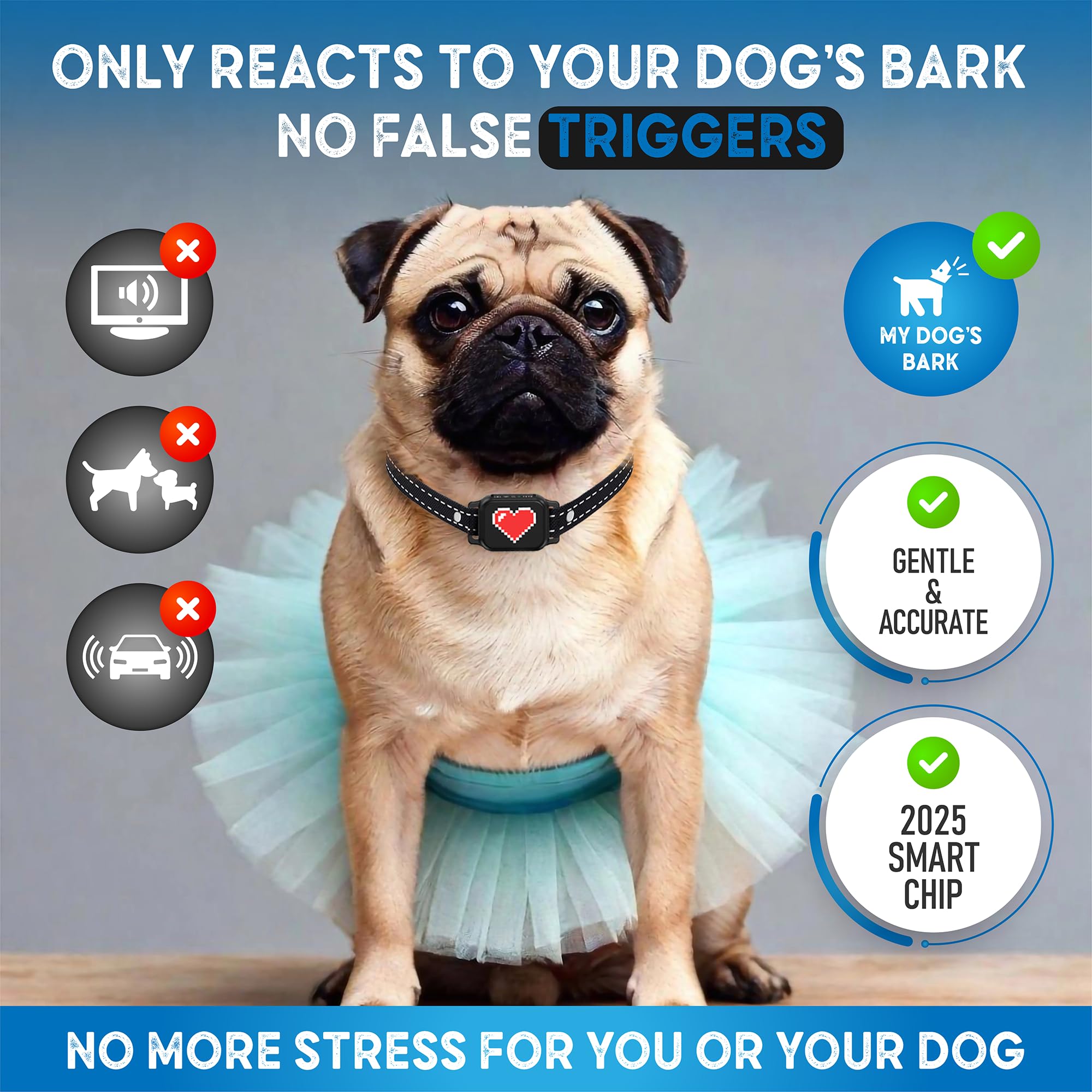 Collar outdoors in rain, IP67 waterproof design for all-weather training