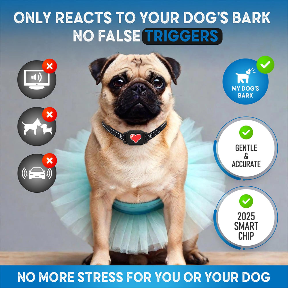 Collar outdoors in rain, IP67 waterproof design for all-weather training