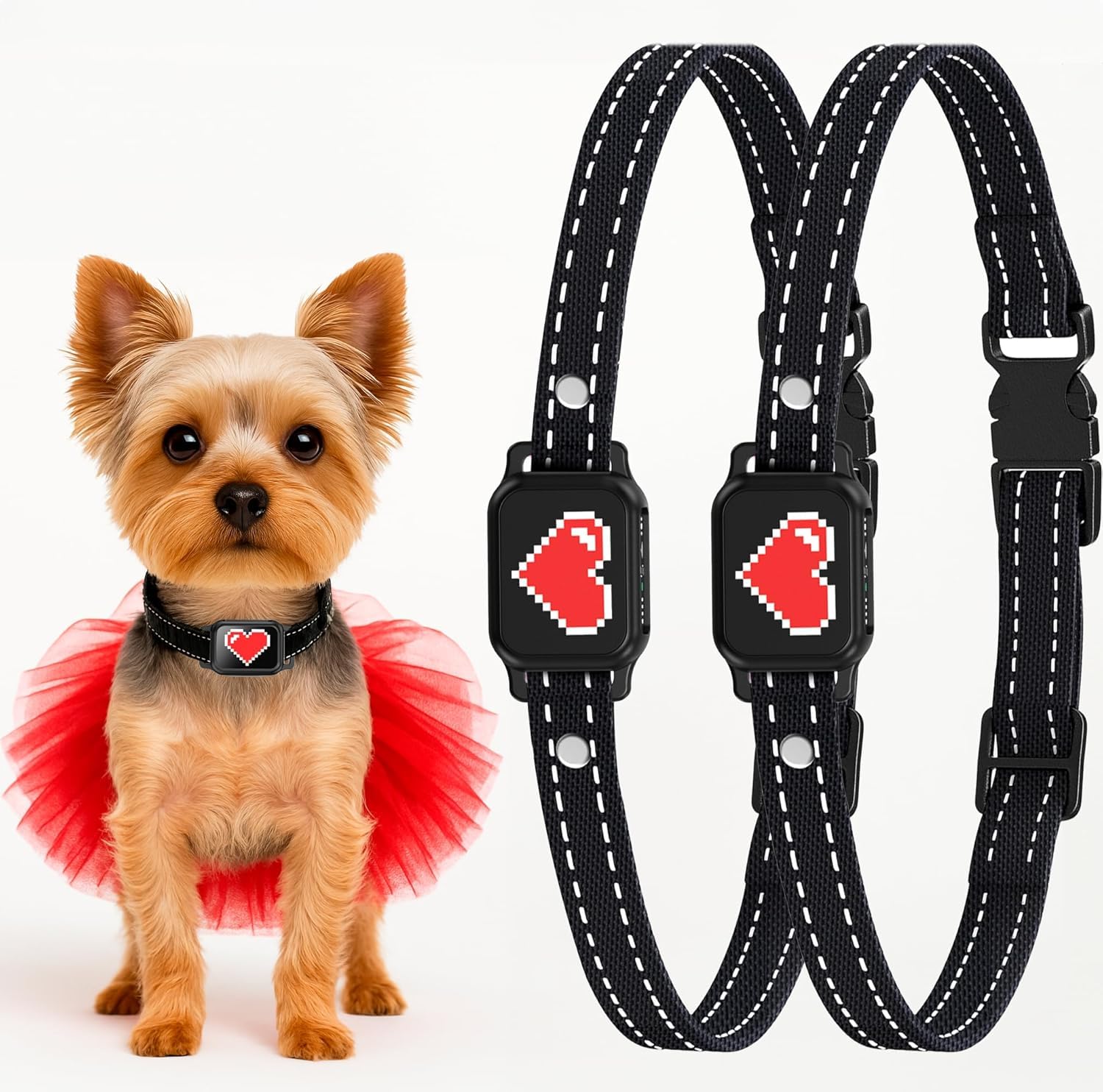 ELECANE bark collar on a small dog, comfortable wear for humane training