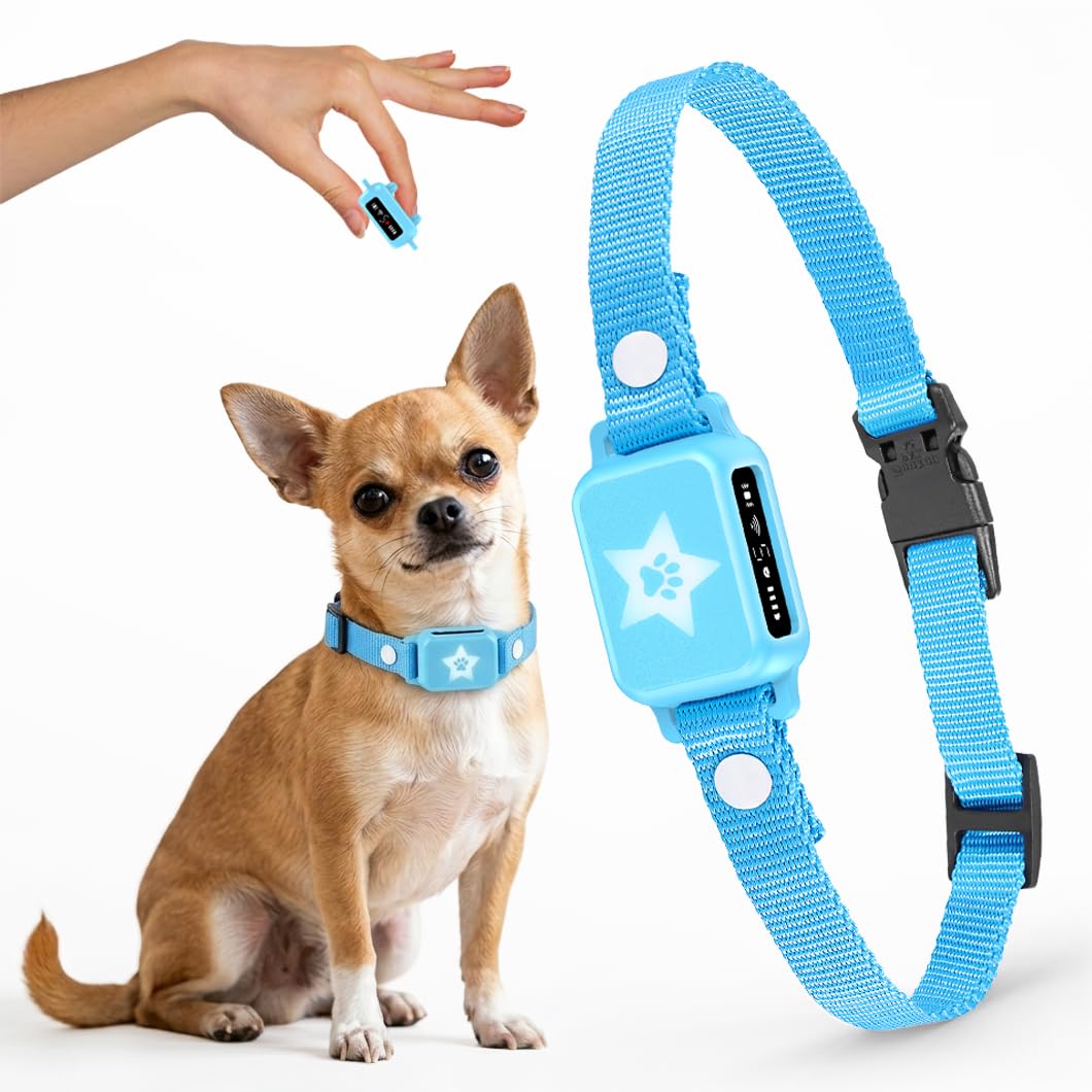 ELECANE Bark Collar on a small dog’s neck delivering gentle training cues.