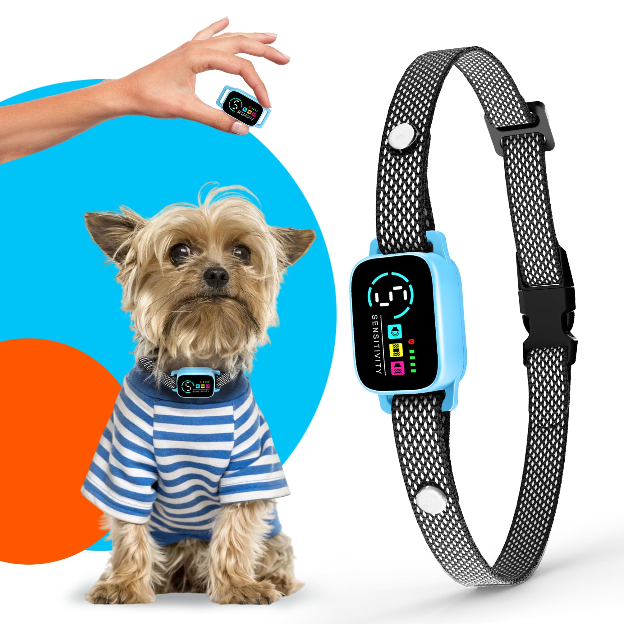 ELECANE bark collar on a small dog during a calm daytime walk