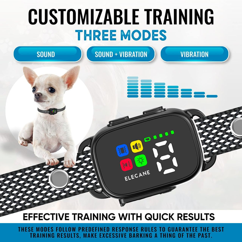 ELECANE smart collar with seven sensitivity levels for tailored training