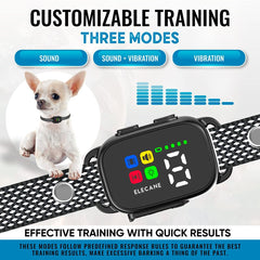 ELECANE smart collar with seven sensitivity levels for tailored training