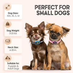 ELECANE pink collar with three modes for versatile beep and vibration feedback.