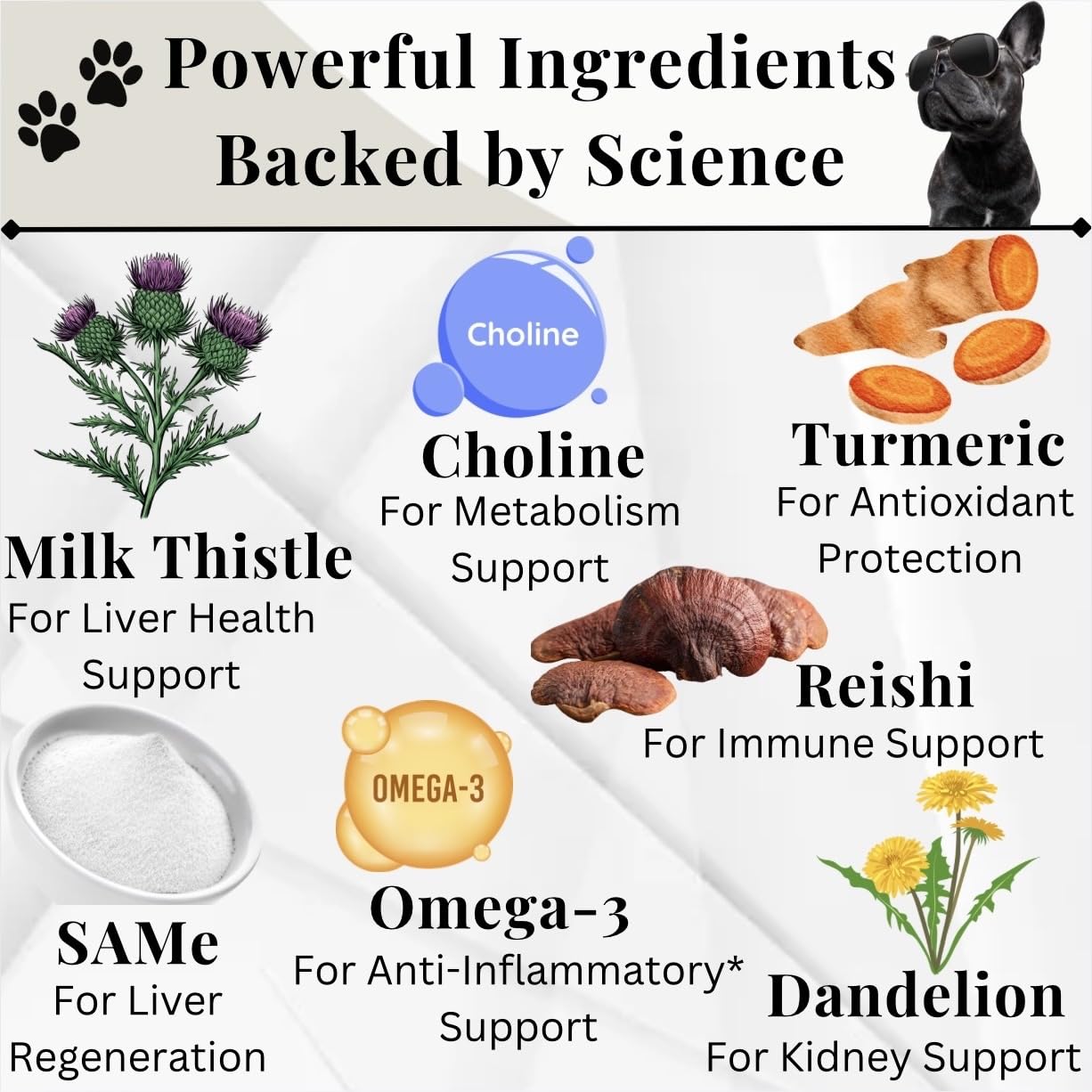 Electric Elixir dandelion root benefit for dogs supports kidney function.
