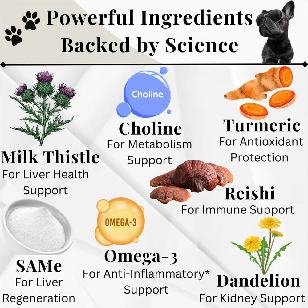 Electric Elixir dandelion root benefit for dogs supports kidney function.