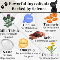 Electric Elixir dandelion root benefit for dogs supports kidney function.